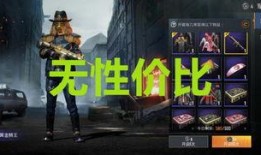 军需新皮肤最新爆料副套,炫酷造型，战力升级！